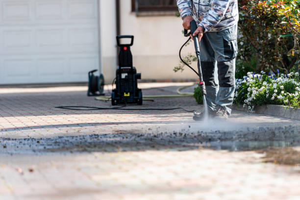 Best Roof Pressure Washing  in Guadalupe, CA